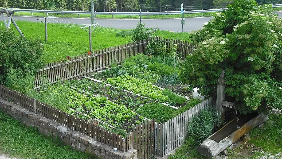 Giardino della casa con abbeveratoio da cui sgorga la nostra acqua di sorgente. 