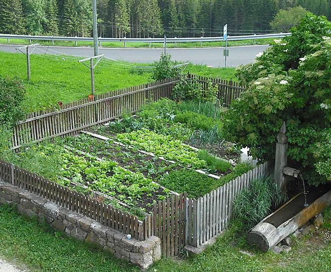Giardino della casa con abbeveratoio da cui sgorga la nostra acqua di sorgente. 