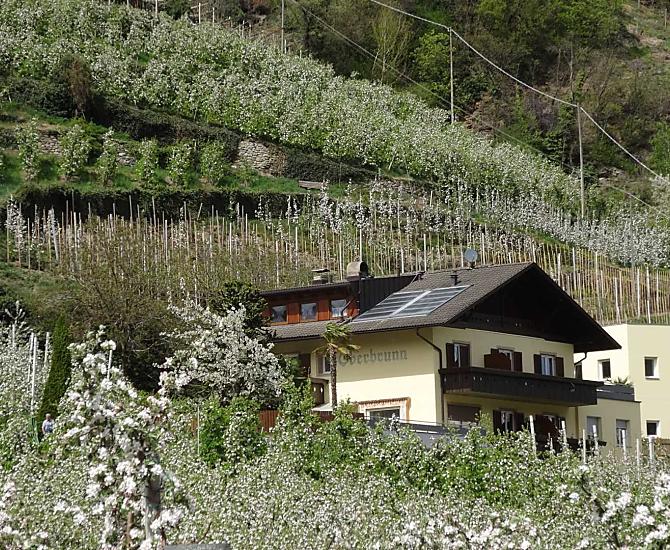 Oberbrunn-Hof - Bildergalerie Photo