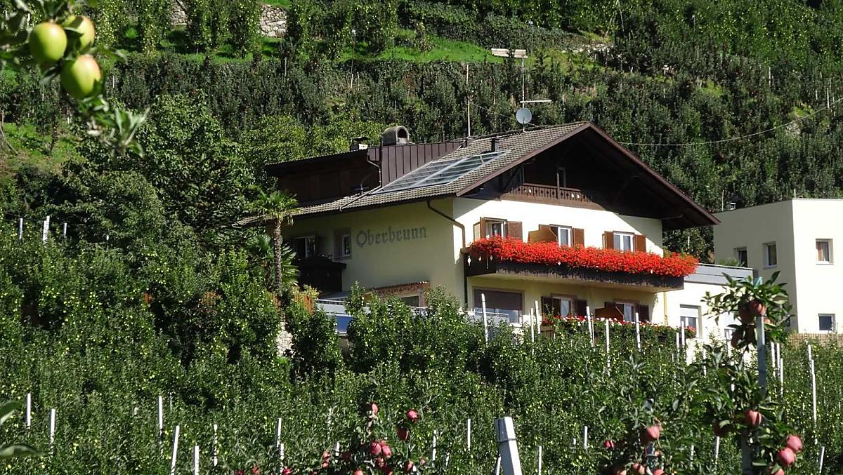 Oberbrunn-Hof - Bildergalerie Photo