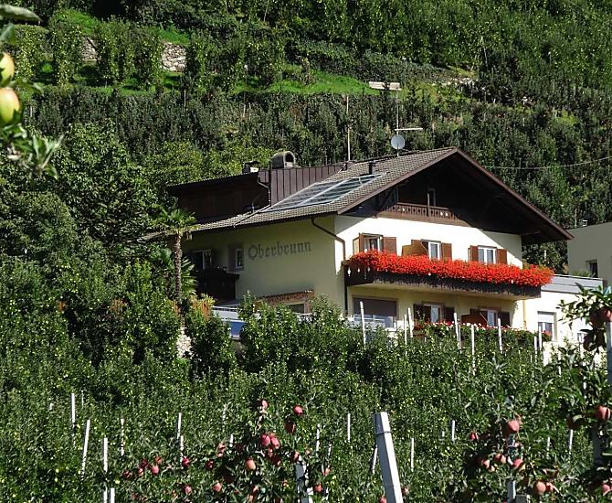 Oberbrunn-Hof - Bildergalerie Photo