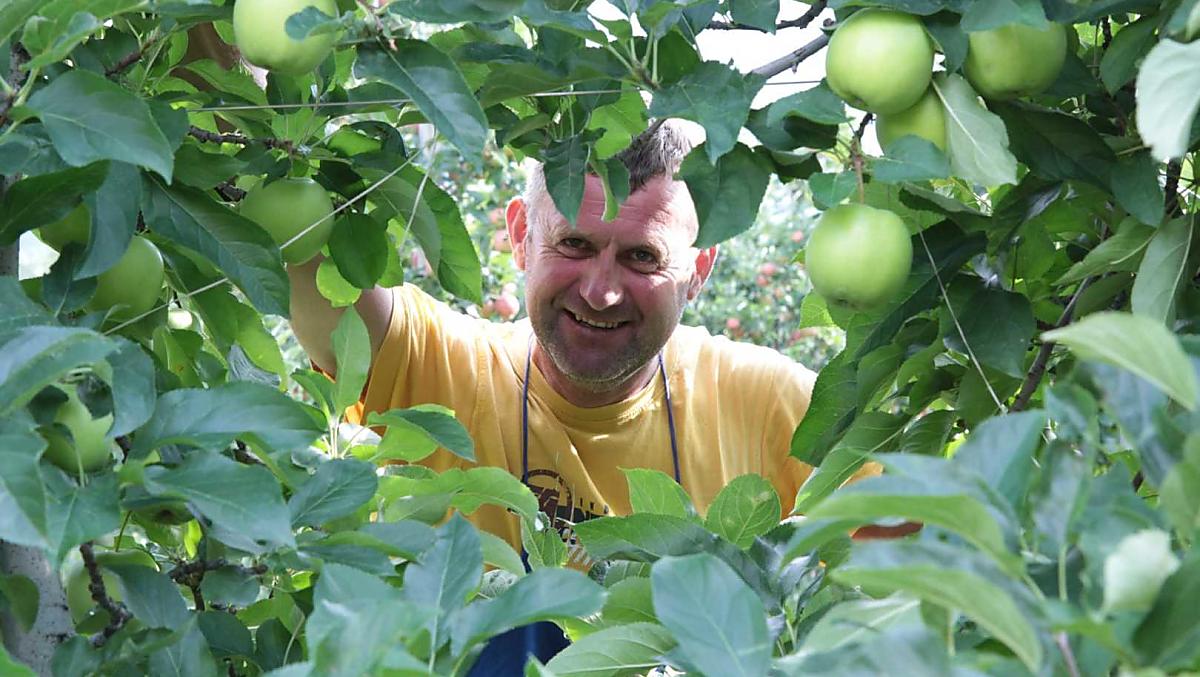 Il contadino Christian al lavoro nei meleti.