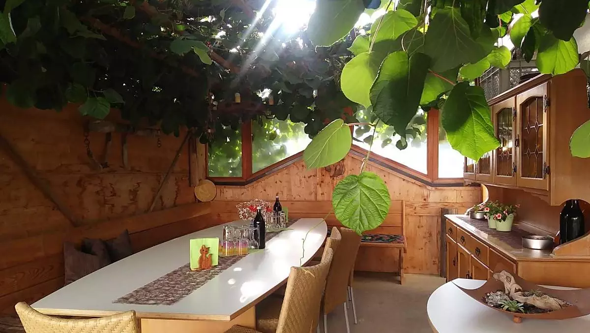 La nostra incantevole e accogliente pergola di kiwi ha già ospitato molte serate divertenti e conviviali.