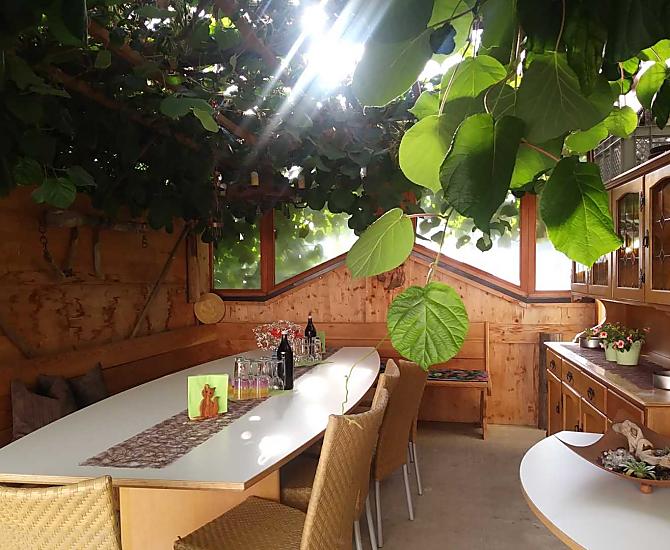 La nostra incantevole e accogliente pergola di kiwi ha già ospitato molte serate divertenti e conviviali.