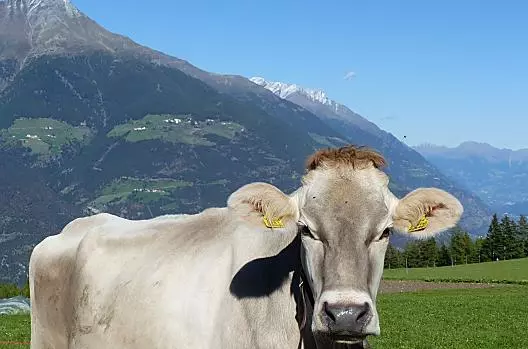 Mairing - Gurschler - Liste Photo