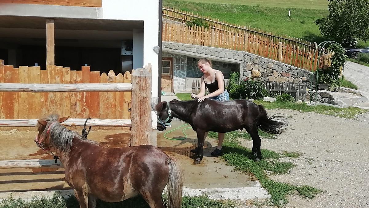 I nostri pony si godono il programma benessere dei ostri piccoli ospiti