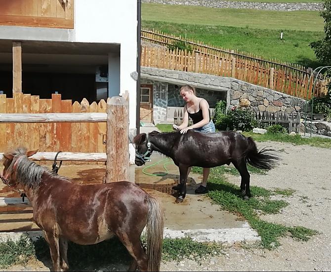 I nostri pony si godono il programma benessere dei ostri piccoli ospiti