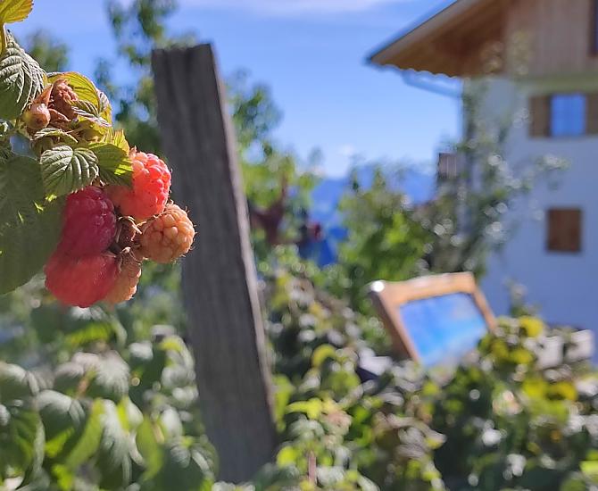 Gli ospiti possono servirsi della nostra frutta.