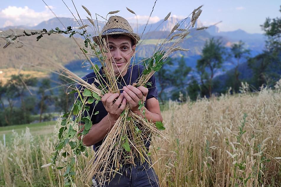 Il grano viene coltivato nei campi ed è disponibile anche nella bottega del maso. Intero, sotto forma di fiocchi o come farina.