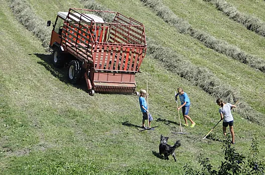 La fienagione in estate