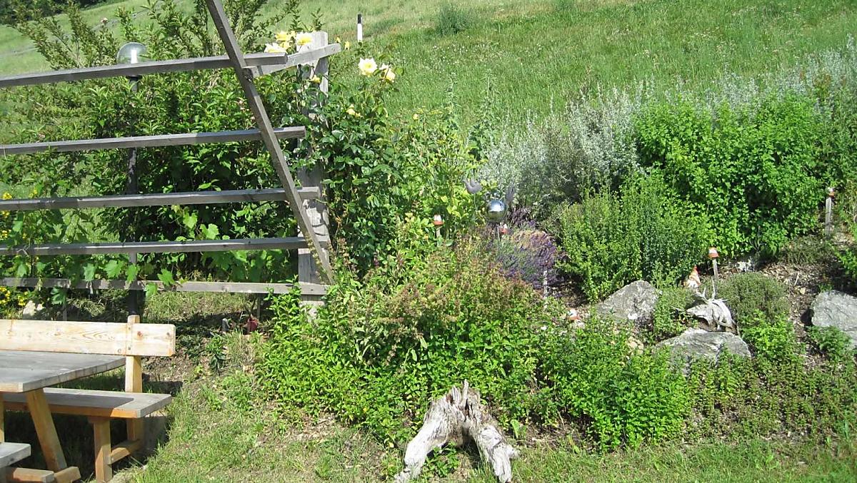 Nel nostro giardino di erbe aromatiche troverete diverse erbe e spezie.
