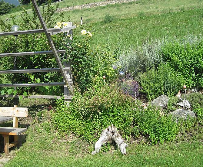 Nel nostro giardino di erbe aromatiche troverete diverse erbe e spezie.