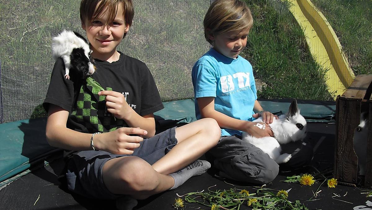 Giocare con i cuccioli è parte di una vacanza in agriturismo