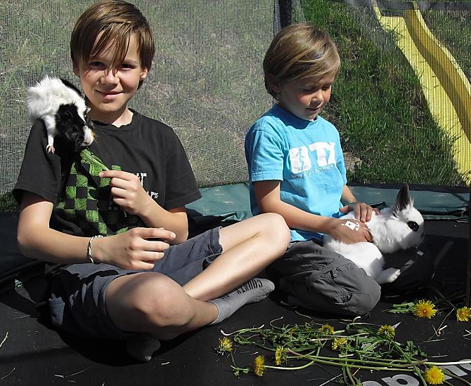 Giocare con i cuccioli è parte di una vacanza in agriturismo