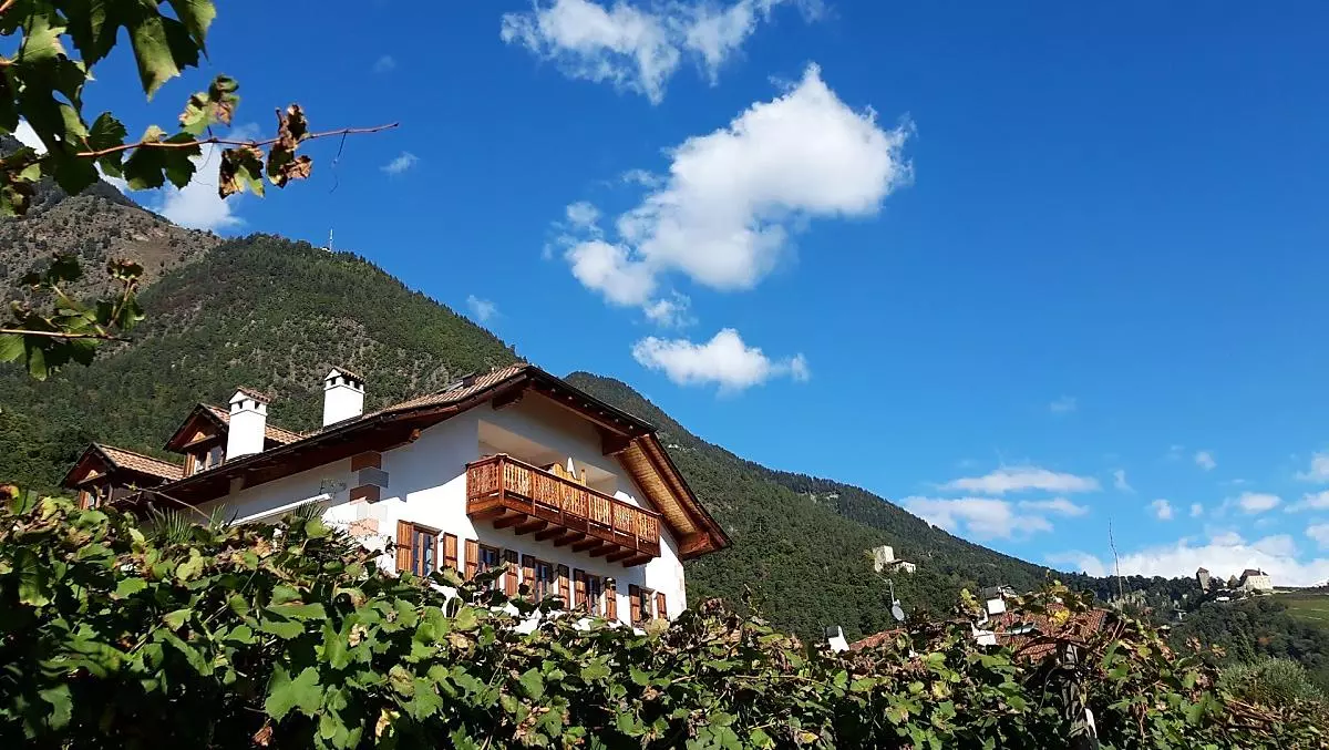 Hofer am Bach - Bildergalerie Photo