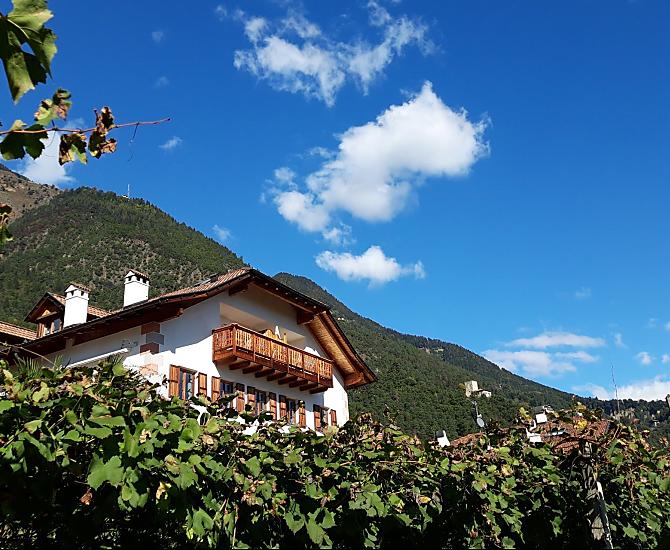 Hofer am Bach - Bildergalerie Photo