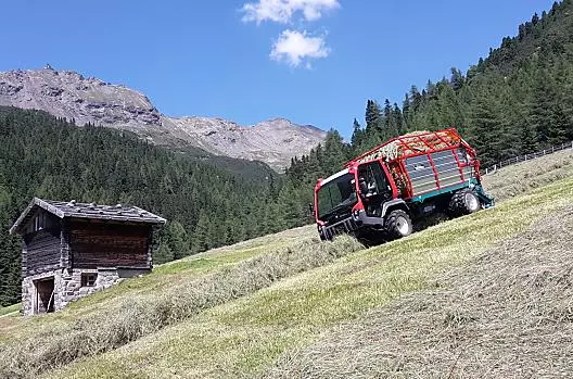 Il lavoro con il fieno in estate