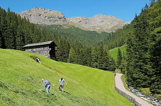 Lavoro con il fieno in estate 