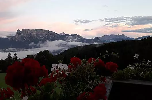 I fiori del balcone sono ancora rigogliosi