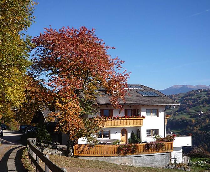 Planatscherhof - Bildergalerie Photo