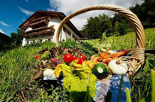 Puntschuhof - Liste Photo