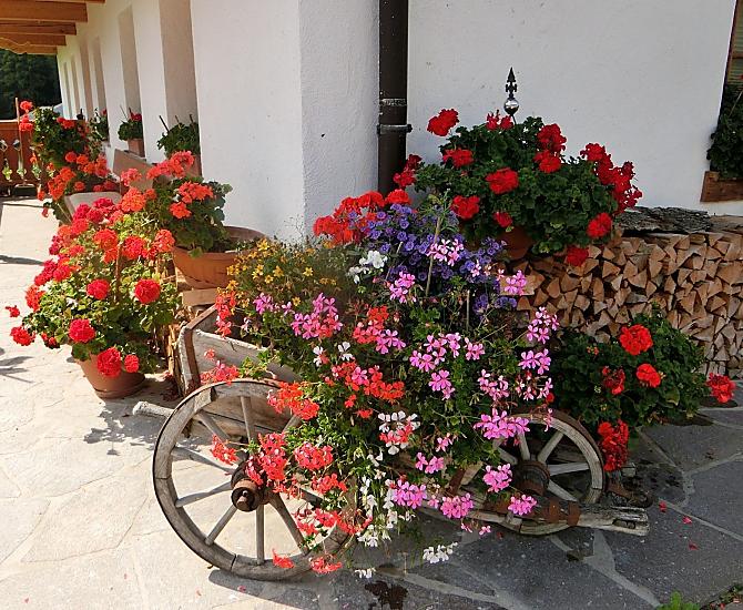 Kirschnerhof - Bildergalerie Photo