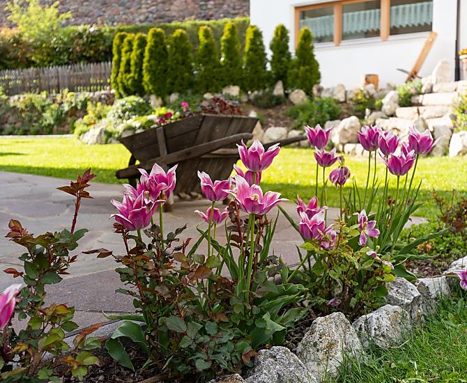 Tutto si colora di verde e i primi segni della primavera ci deliziano.