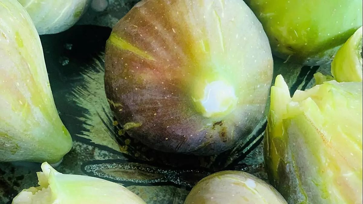 Fichi dal frutteto