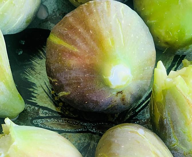 Fichi dal frutteto