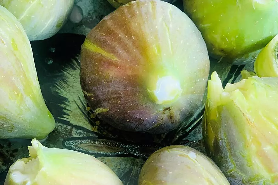 Fichi dal frutteto