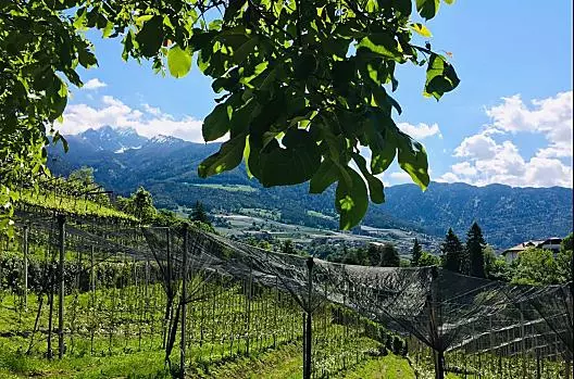 Tanner-Hof - Liste Photo