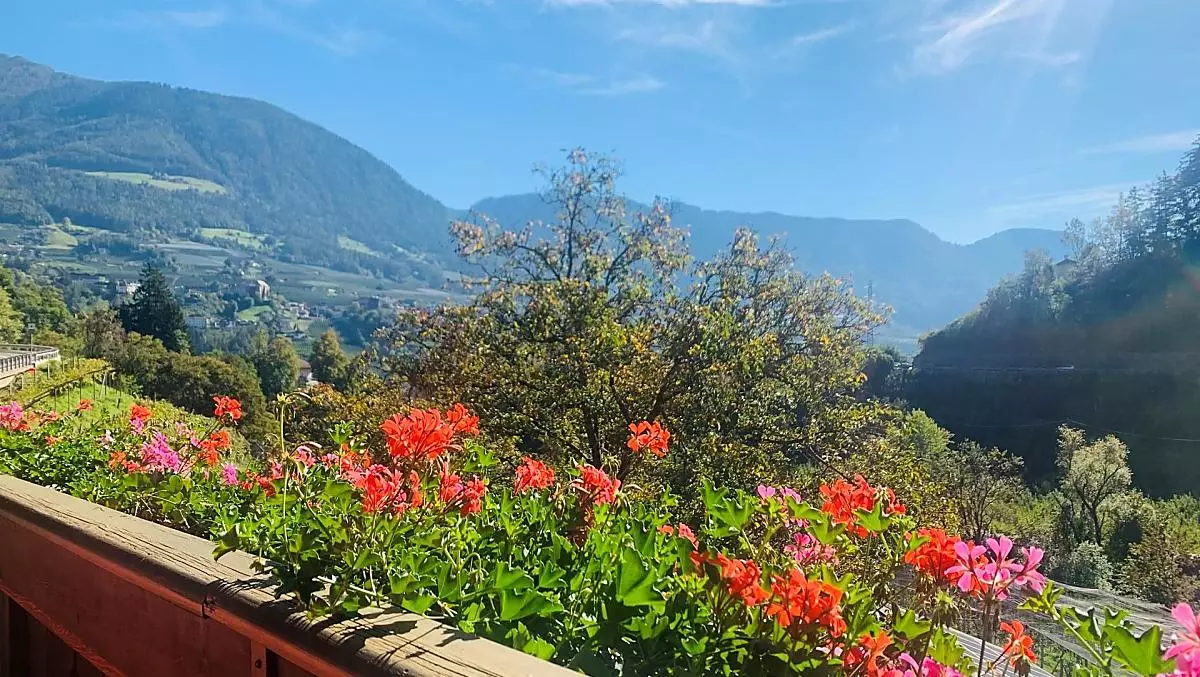 Vista dal balcone