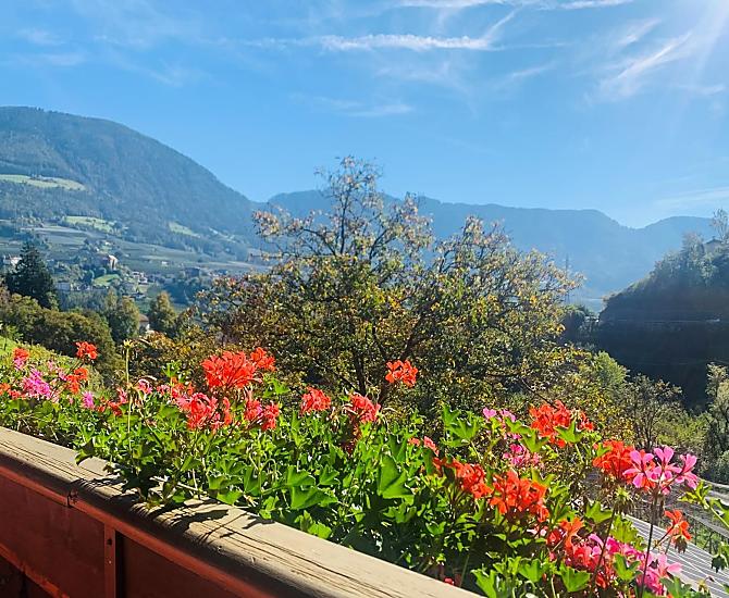 Vista dal balcone