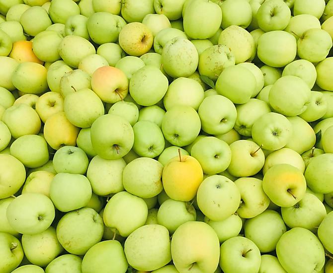 La nostra Golden Delicious.
