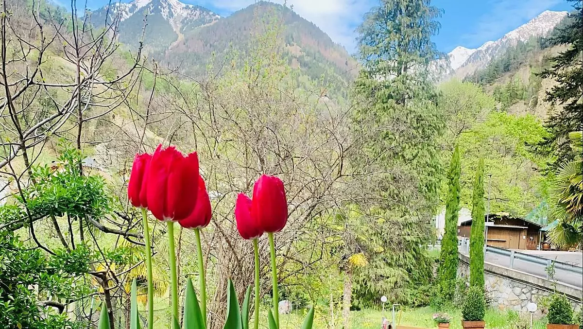 Vista sull'Hochmuth in primavera.
