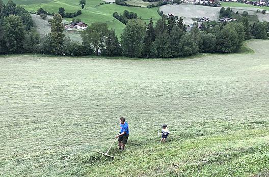 L'agricoltore Andreas e il giovane agricoltore Toni rastrellano il fieno