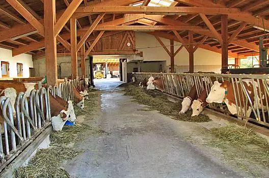 Bartlmair - Liste Photo