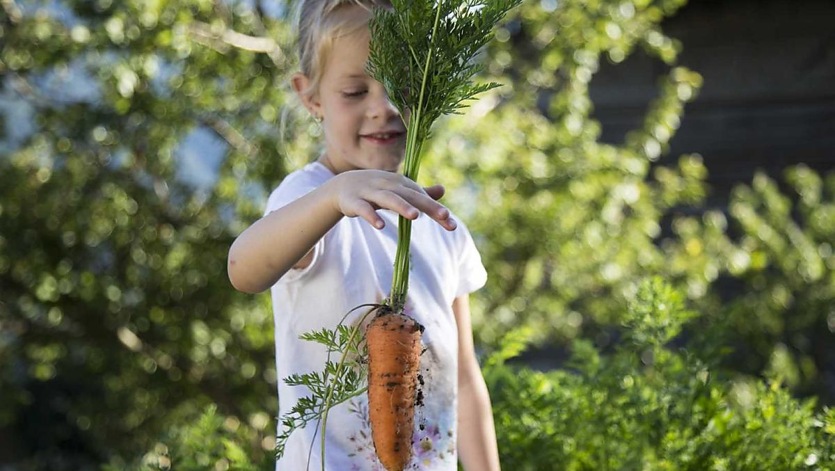 Le verdure fresche dell'orto sono particolarmente gustose dopo una giornata di escursioni.