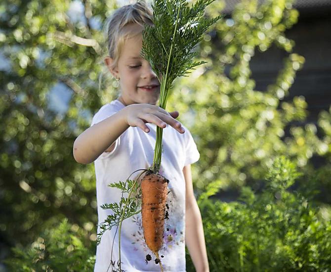 Le verdure fresche dell'orto sono particolarmente gustose dopo una giornata di escursioni.