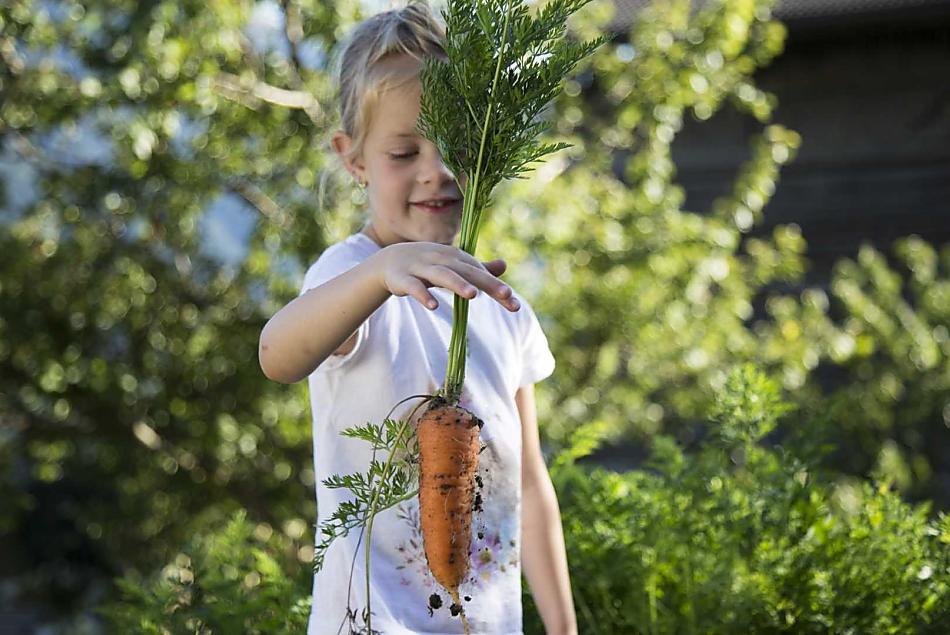 Le verdure fresche dell'orto sono particolarmente gustose dopo una giornata di escursioni.
