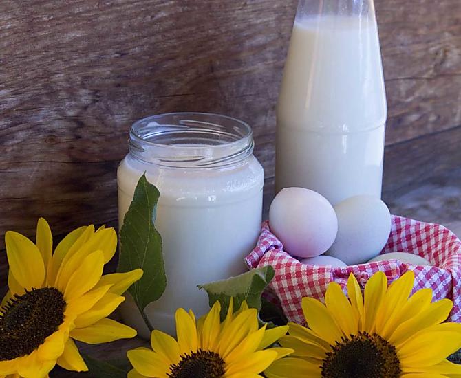 Inclusi nel prezzo del soggiorno ci sono latte e uova fresche ogni giorno
