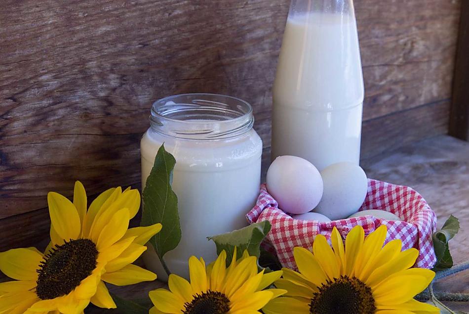 Inclusi nel prezzo del soggiorno ci sono latte e uova fresche ogni giorno