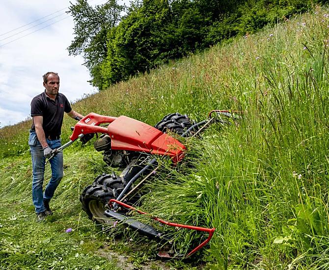 I prati scoscesi vengono falciati con una falciatrice e in parte con una falce, mentre in primavera e in autunno il bestiame giovane viene fatto pascolare.