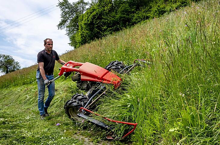 I prati scoscesi vengono falciati con una falciatrice e in parte con una falce, mentre in primavera e in autunno il bestiame giovane viene fatto pascolare.