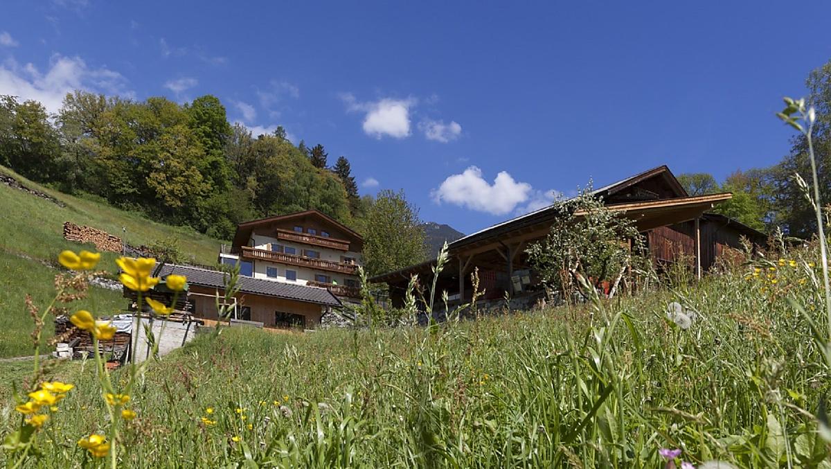 Il nostro maso in estate