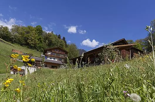 Il nostro maso in estate