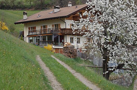 Frühling