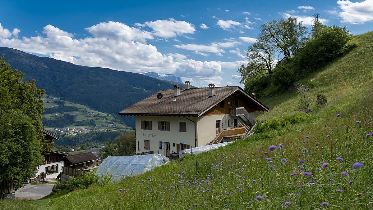 I bellissimi dintorni, i meravigliosi colori della natura sono davvero benefici.