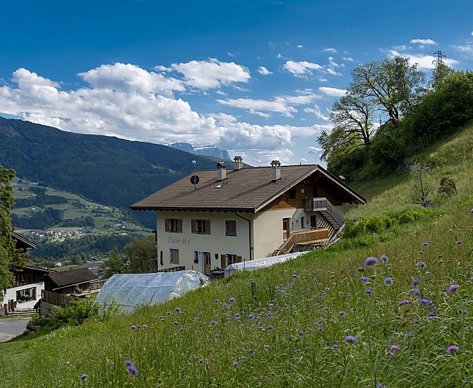 I bellissimi dintorni, i meravigliosi colori della natura sono davvero benefici.