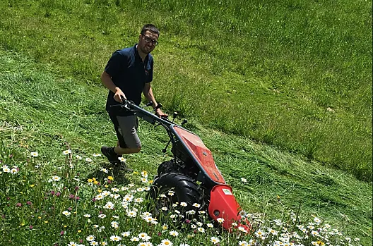 Fabian alla falciatura